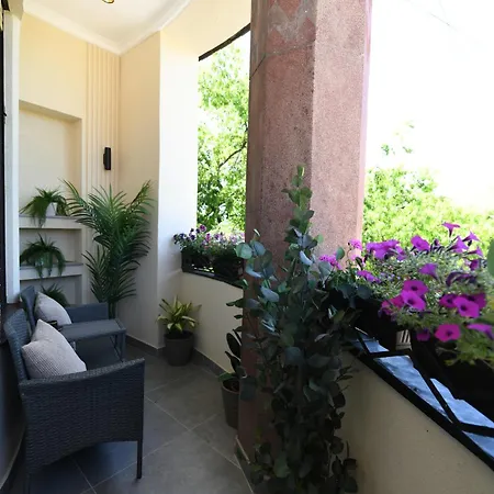 Apartman Palace Vajdinger *