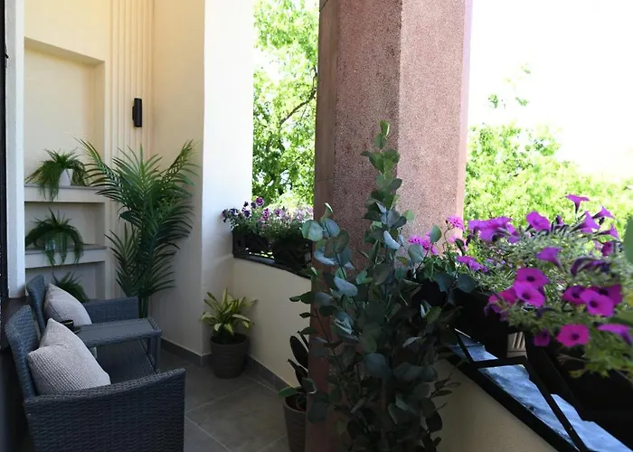 شقة Palace Vajdinger *