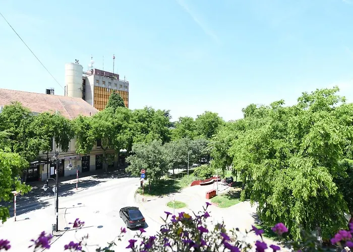 Palace Vajdinger شقة سومبور